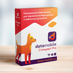 ПО DataMobile, версия Стандарт Pro в Пскове