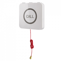 Кнопка вызова iBells 310S влагозащищенная со шнуром для МГН в Пскове